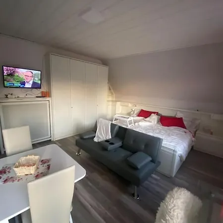 Sonniges In Naehe Zentrum Apartman *